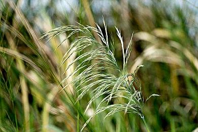 科幻动作RPG《新柏林2087》科隆展实机宣传片